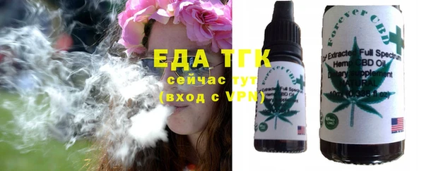 хмурый Абаза