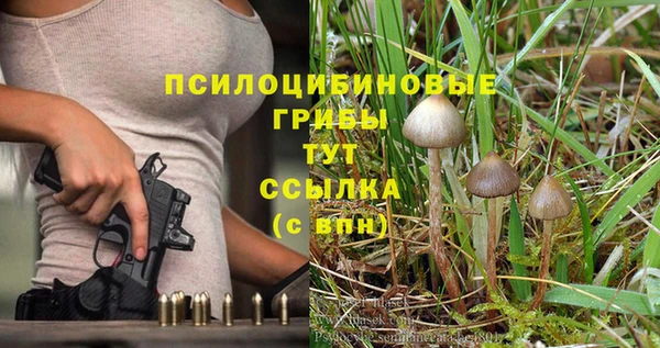 таблы Алексеевка