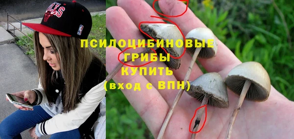 мет Алексин
