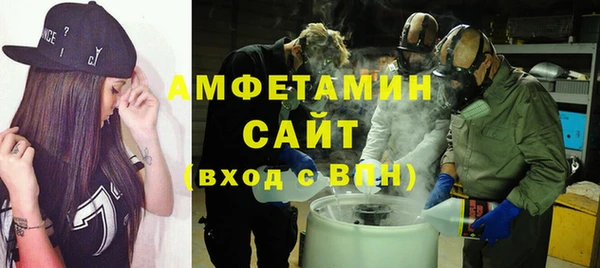 мет Алексин