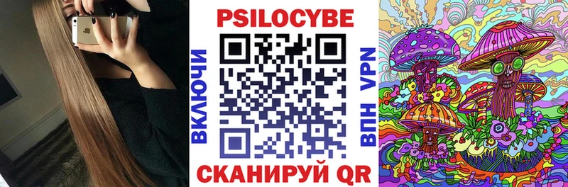 Галлюциногенные грибы Psilocybe  где найти   ОМГ ОМГ   Дубовка 